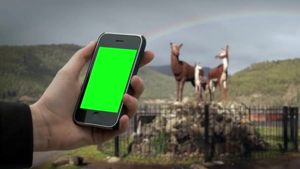 Mão Masculina Segurando Velho Smarphone Tela Verde Perto Veado Monumento — Vídeo de Stock