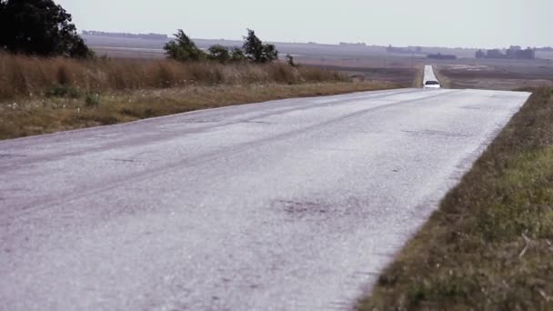 Provincia Santa Argentina 2019 Solitario Coche Blanco Carretera Ampliar — Vídeo de stock