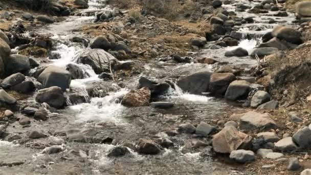 Flusso Montagna Con Una Piccola Cascata Nella Foresta Fatata Della — Video Stock