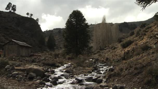 Old Wooden House Nära Vattenfall Flod Patagonien Argentina Sydamerika — Stockvideo