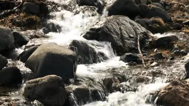 Mountain Stream Ένα Μικρό Καταρράκτη Στο Νεραϊδοδάσος Της Παταγονίας Αργεντινή — Αρχείο Βίντεο