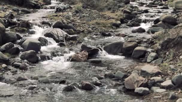 Strumień Górski Małym Wodospadem Bajkowym Lesie Patagonia Argentyna Szybkie Ujęcie — Wideo stockowe