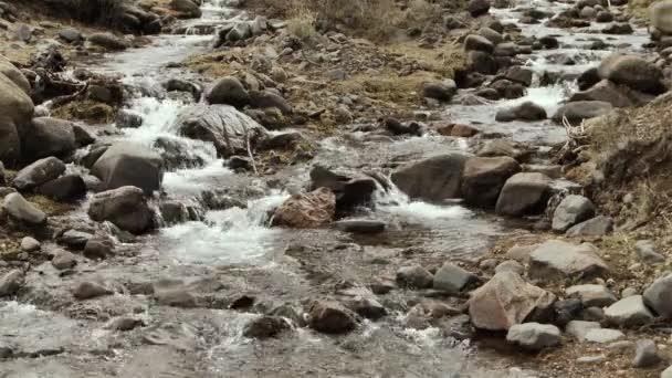 阿根廷巴塔哥尼亚仙境森林中带小瀑布的山溪 — 图库视频影像
