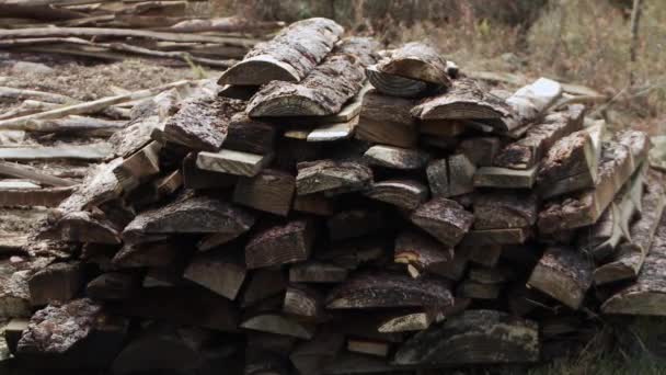 Hromada Sekaných Klád Podpal Uložených Ranči Nebo Farmě Přiblížit — Stock video