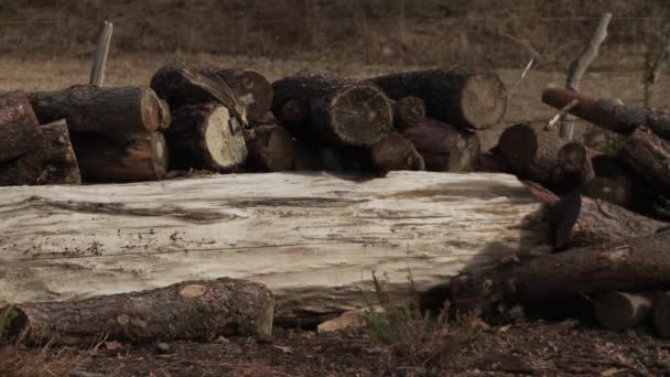 Drewno Pile Przechowywane Ranczu Lub Farmie — Wideo stockowe