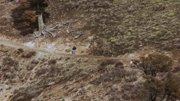 Herder Met Twee Honden Een Heuvel Het Andesgebergte — Stockvideo