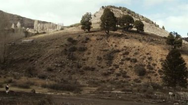 Patagonya, Arjantin, Güney Amerika 'da yürüyen adam. 