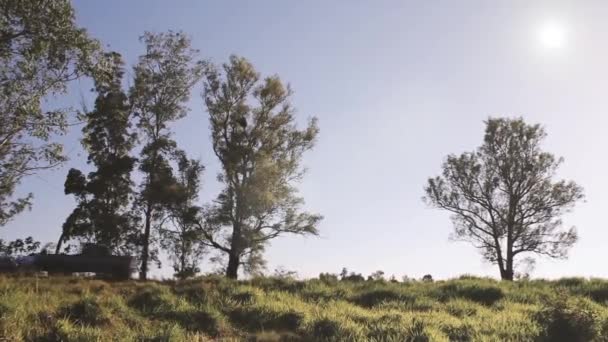 Caminhão Coleta Velho Estrada Com Uma Bandeira Argentina Parte Traseira — Vídeo de Stock