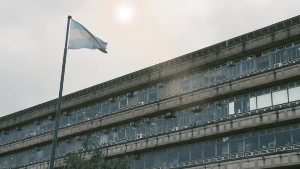 Argentinische Flagge Auf Dem Campus Der Öffentlichen Universität Von Buenos — Stockvideo