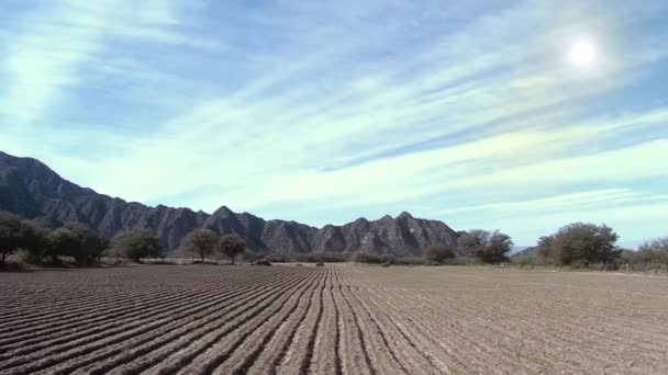 Tierras Cultivadas Campo Agrícola Ampliar — Vídeos de Stock