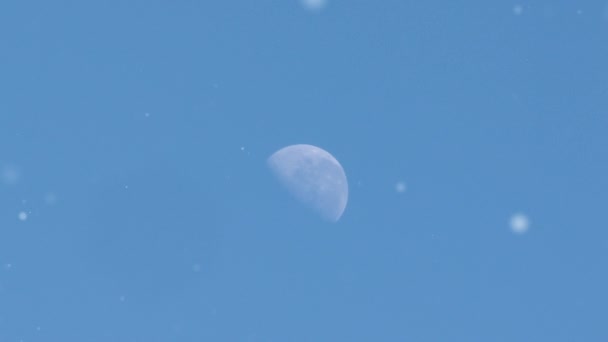 Crescent Moon Blue Sky Pollen Particules Flottantes Dans Air Zoom — Video