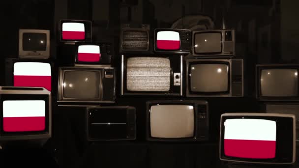 Banderas Polonia Televisores Vintage Sepia Tone Ampliar — Vídeo de stock