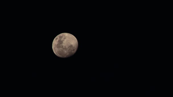 Księżyc Podróżujący Ciemnej Nocy — Wideo stockowe
