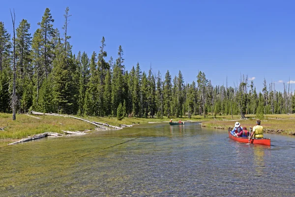 Paddling Up a Mountain Stream — Stock Photo, Image