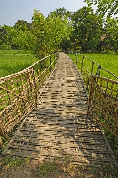 Puente de bambú sobre un arrozal —  Fotos de Stock