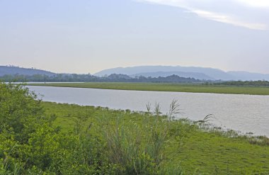 Bir subtropikal Wetland akşam