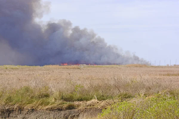 Flames in a Wildfire in the Bayou — Stock Photo, Image