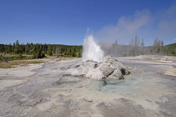 Eruzione Geyser Panorama — Foto Stock