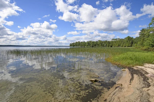 Reflexiones sobre una orilla arenosa en la naturaleza — Foto de Stock