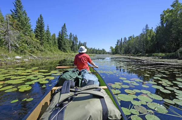 Paddling genom lily pads — Stockfoto