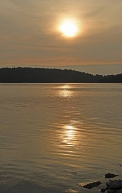 Sunrise Kuzey ormanda Bulutların arasından