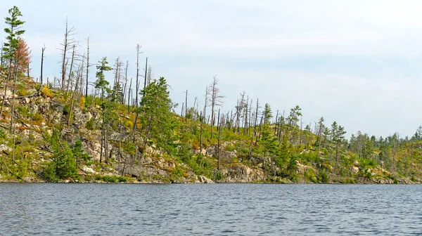 Fire Scarred Ridge en el bosque del norte — Foto de Stock