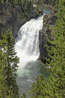 Bir kanyon dramatik Falls