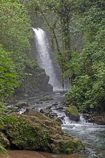 Foggy Waterfall in the Tropics — Stock Photo, Image