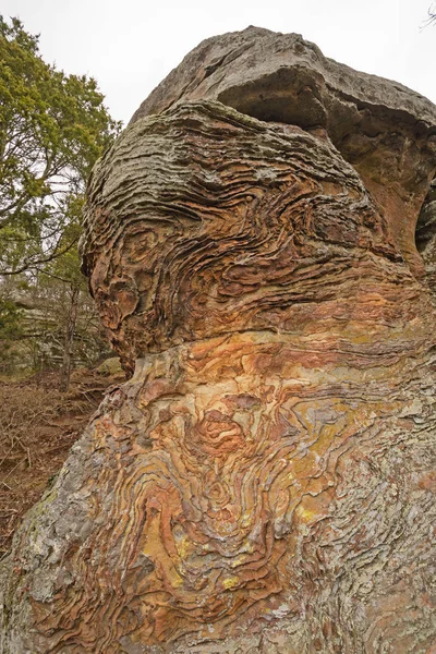 Färgglada stenar i skogen — Stockfoto