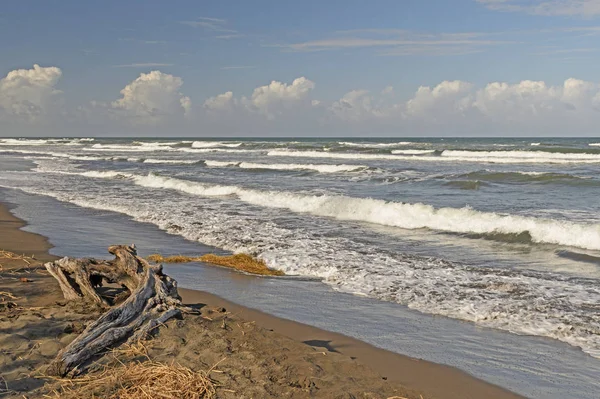 Ondas oceánicas en una costa remota — Foto de Stock