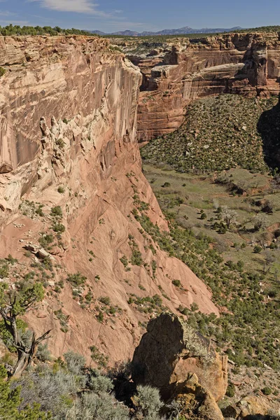 Vue oblique d'un canyon du désert — Photo