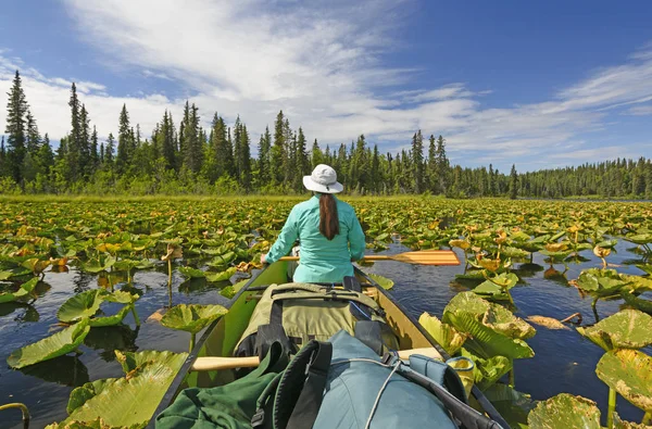 Relaxing in the Lily Pads — Stock Photo, Image