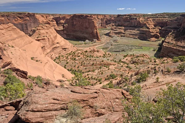 Woestijn canyon in het voorjaar van — Stockfoto