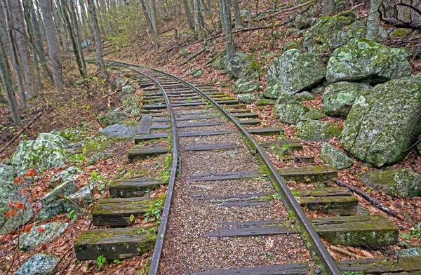 Ormandaki eski demiryolu yatak — Stok fotoğraf