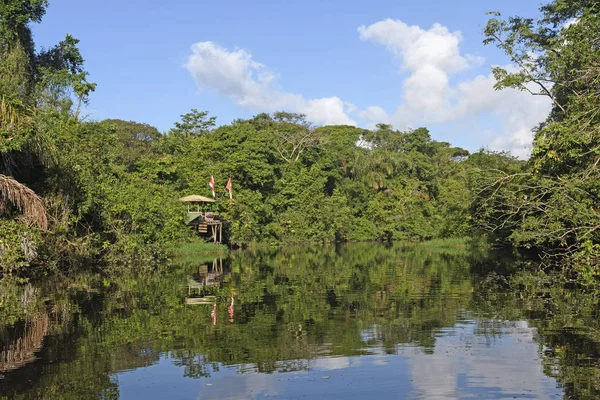 Estación de Investigación Remota en la Selva Tropical — Foto de Stock