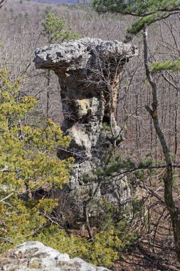Ormandaki Kaide Rock