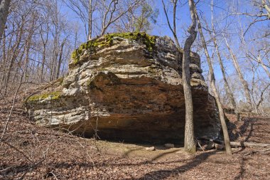 Wilderness Dramatik Rock