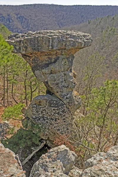 フォレスト内の台座の岩 — ストック写真
