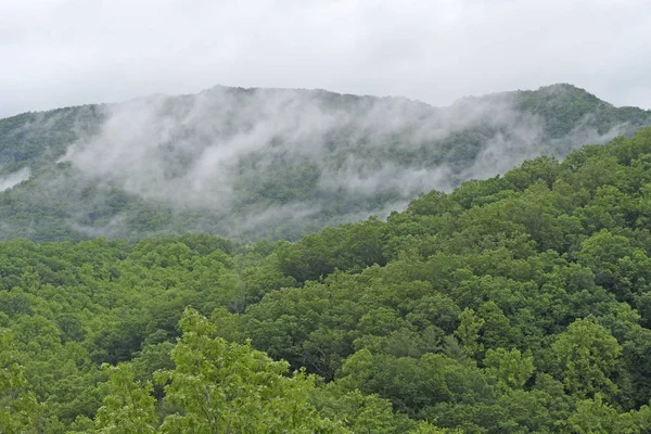 Morning Mist in the Smoky Mountains — Stock Photo, Image
