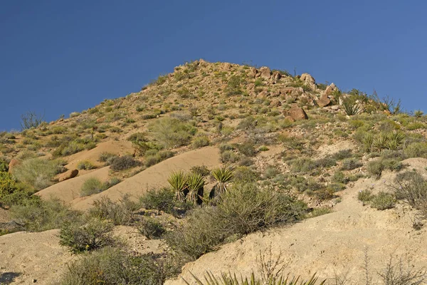 在沙漠中的岩石山 — 图库照片