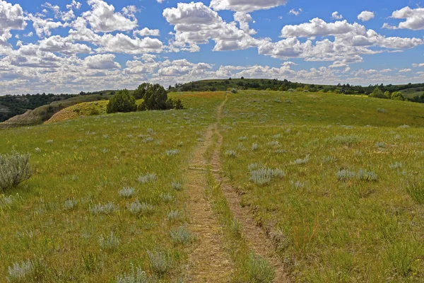 Old Trail Across the Rolling Plains