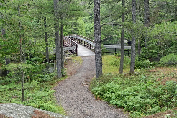 Podul de la distanță din pădure — Fotografie, imagine de stoc