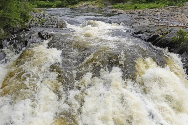 Forsande vatten i en vildmark flod — Stockfoto