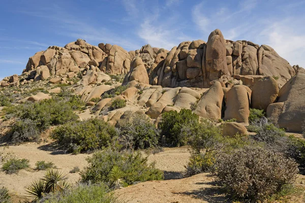 Desert Panorama dnia wiosny — Zdjęcie stockowe