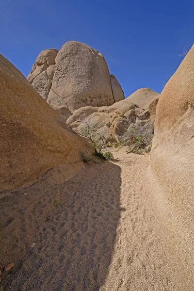 Sentier isolé dans le désert — Photo