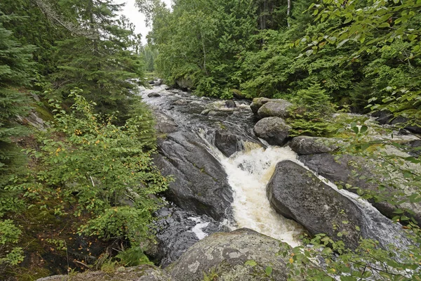Águas rugindo nos pinheiros — Fotografia de Stock