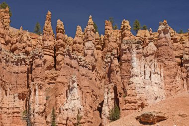 Bryce Canyon Hoodoos