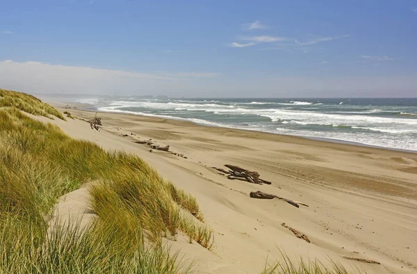 Sol y viento en la costa del Pacífico — Foto de Stock