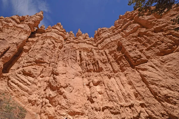 Looking up into red rock cliffs — Stock Photo, Image