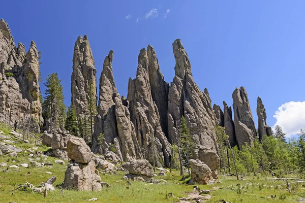 Spires Dramatic in a Mountain Meadow — Fotografie, imagine de stoc